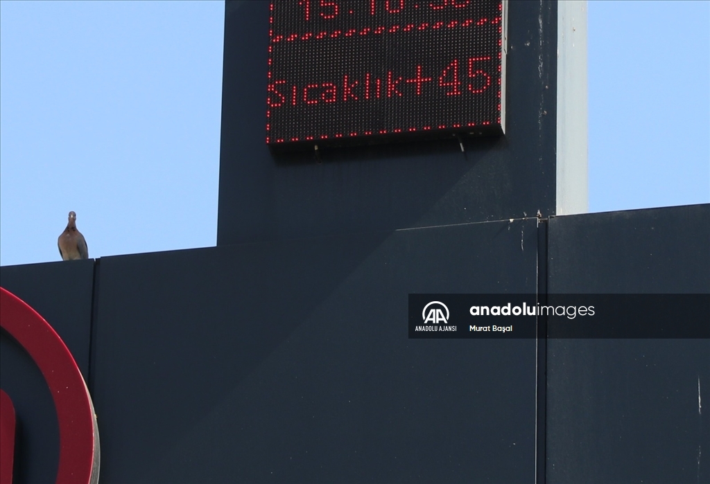 Güneydoğu kavurucu sıcakların etkisinde