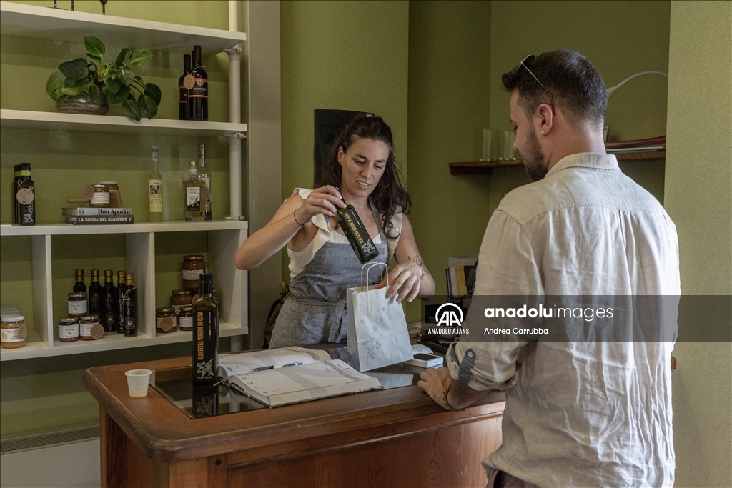 Avrupa'daki zeytin üretimi krizi: Como Gölü'ndeki zeytinyağı üretimi