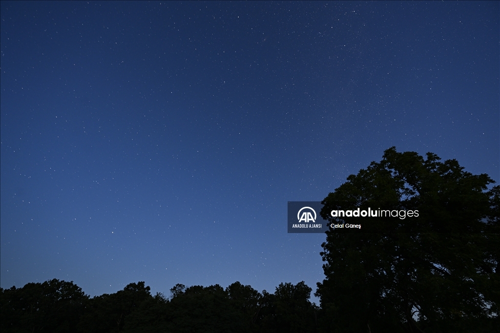 ABD'de 'Perseid meteor yağmuru'