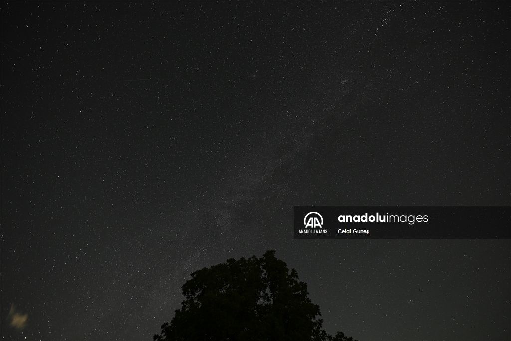 ABD'de 'Perseid meteor yağmuru'