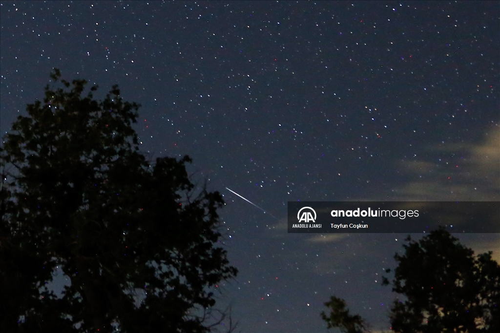 ABD'de 'Perseid meteor yağmuru'