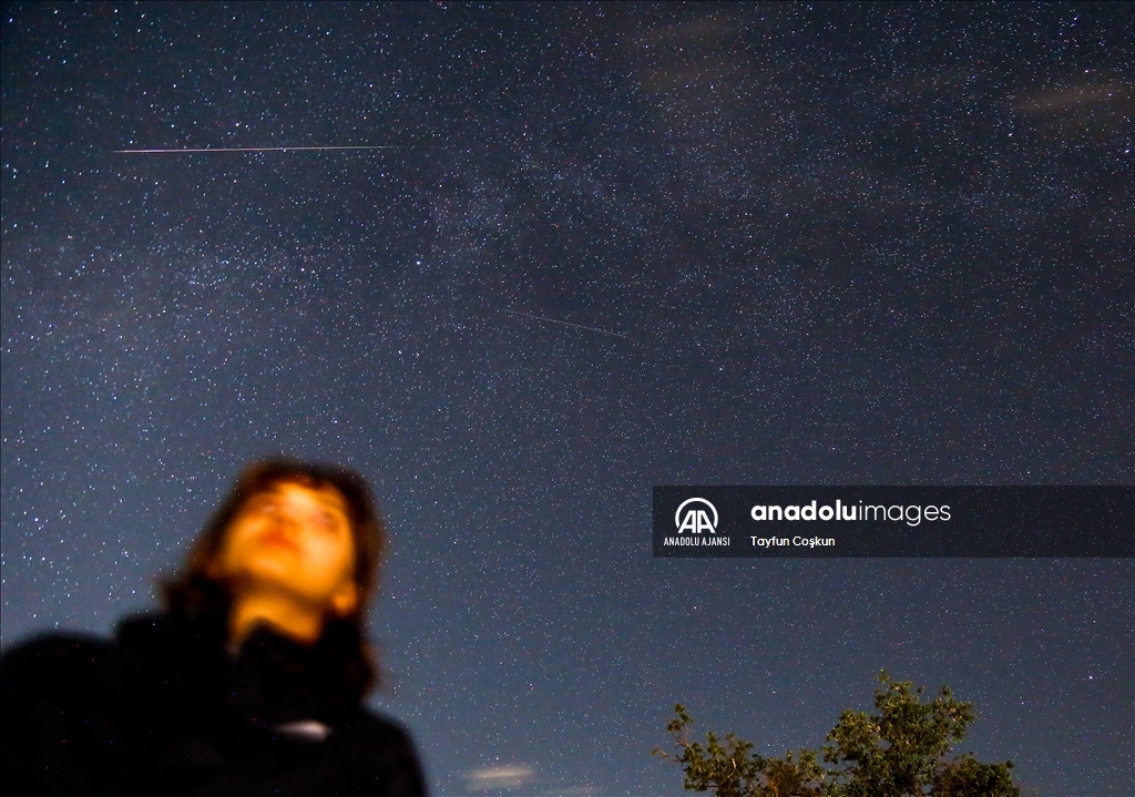 ABD'de 'Perseid meteor yağmuru'