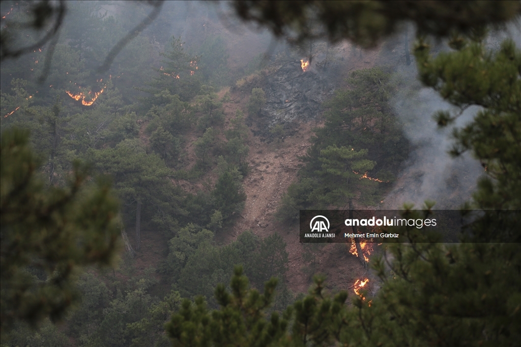 Bolu'da orman yangınına müdahale ediliyor