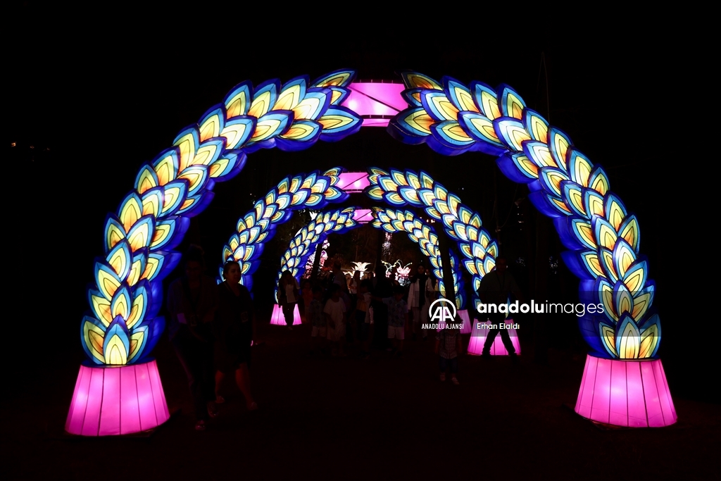İstanbul'da "Ormanda Işık Festivali" düzenlendi