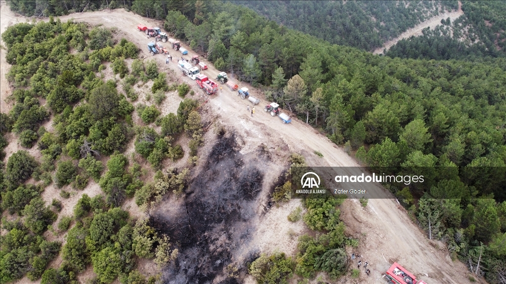 Bolu'da orman yangınına müdahale ediliyor