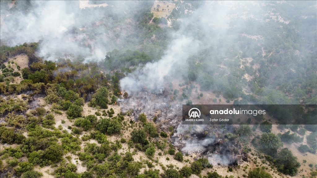 Bolu'da orman yangınına müdahale ediliyor
