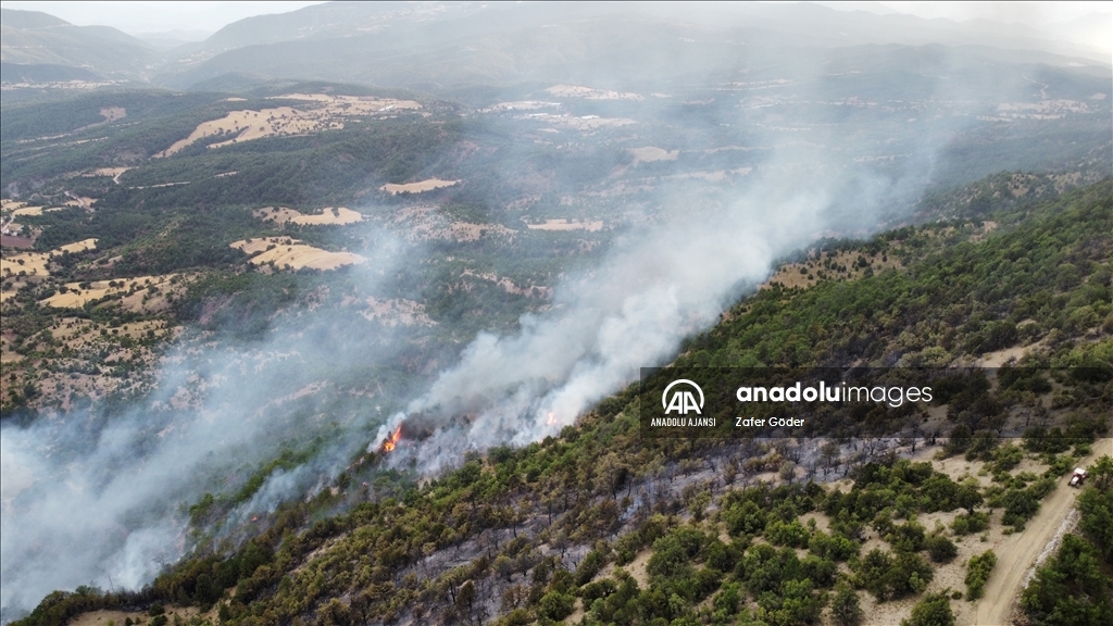 Bolu'da orman yangınına müdahale ediliyor