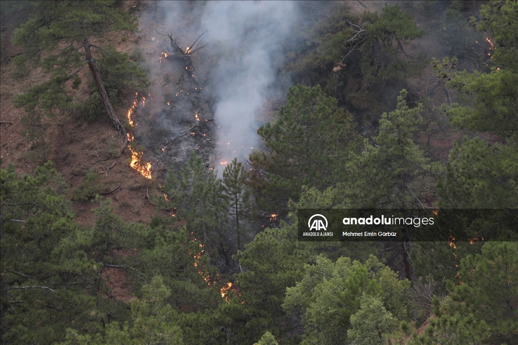 Bolu'da orman yangınına müdahale ediliyor