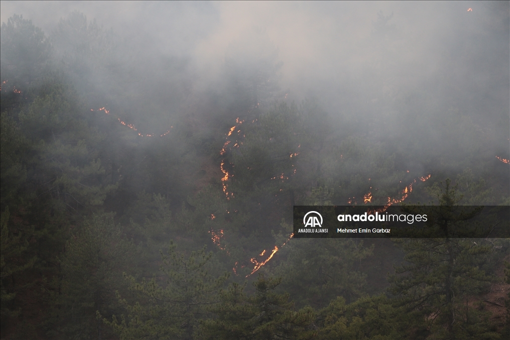 Bolu'da orman yangınına müdahale ediliyor