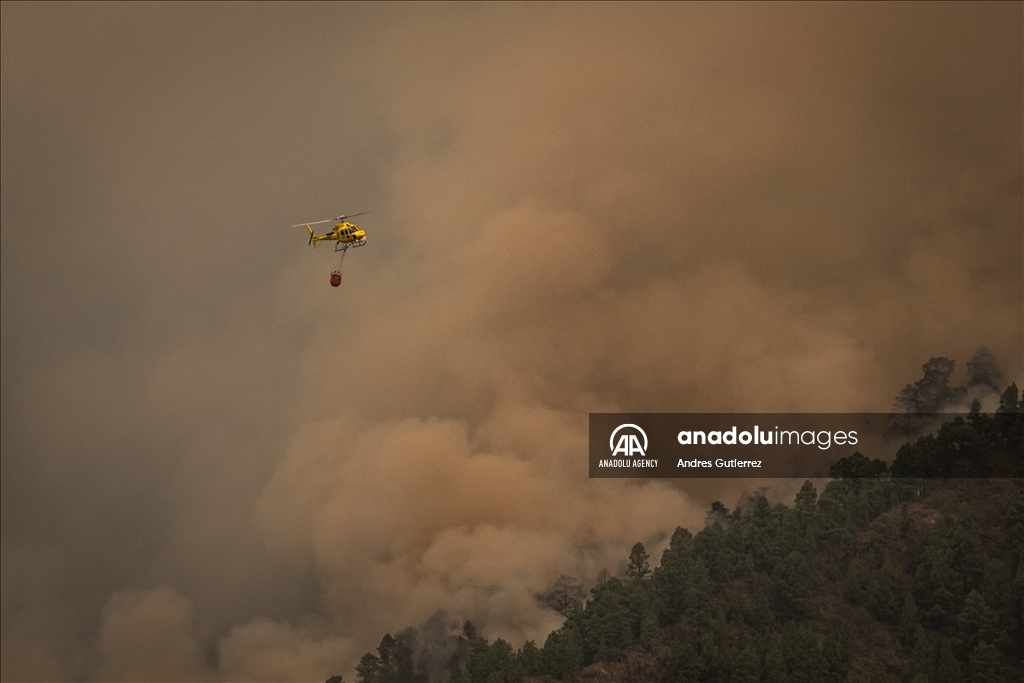 Wildfires in Tenerife Island reach Level 2 severity