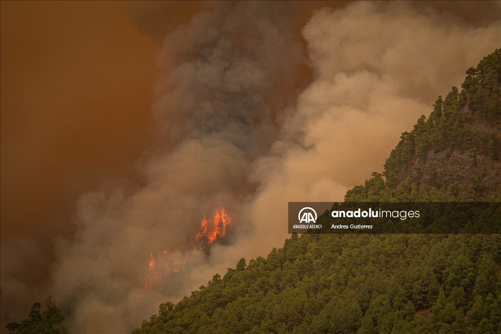Wildfires in Tenerife Island reach Level 2 severity