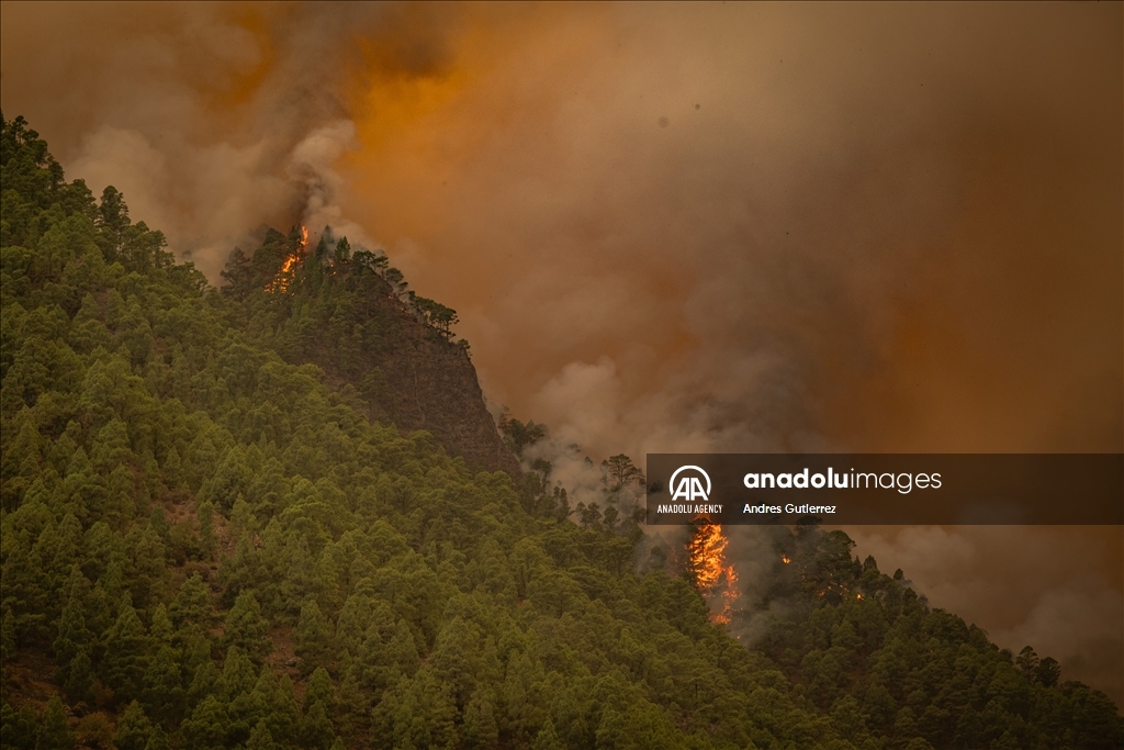 Wildfires in Tenerife Island reach Level 2 severity Anadolu Ajansı