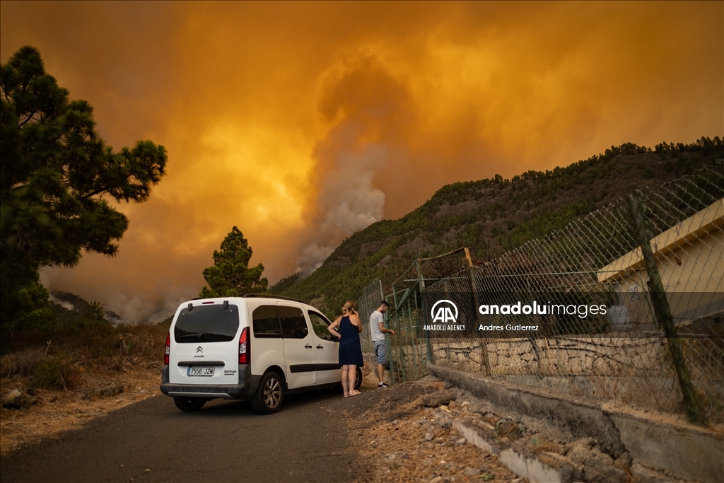 Wildfires in Tenerife Island reach Level 2 severity