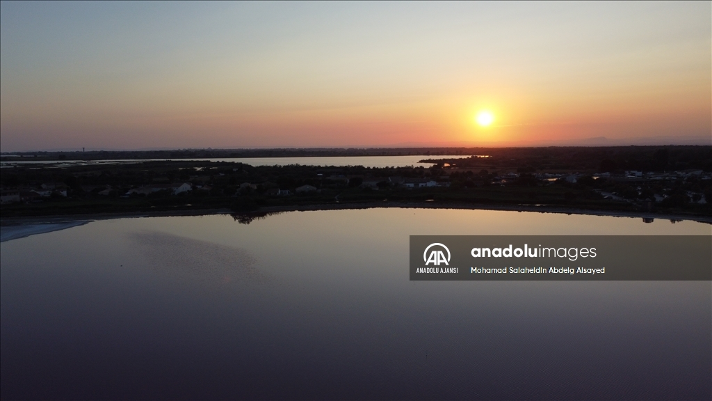 Fransa'daki ''tuz bataklığı'' pembe renge büründü 