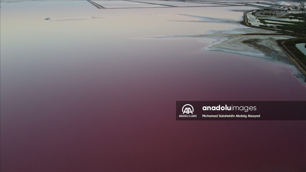 Fransa'daki ''tuz bataklığı'' pembe renge büründü 