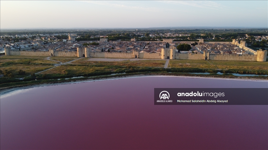 Fransa'daki ''tuz bataklığı'' pembe renge büründü 