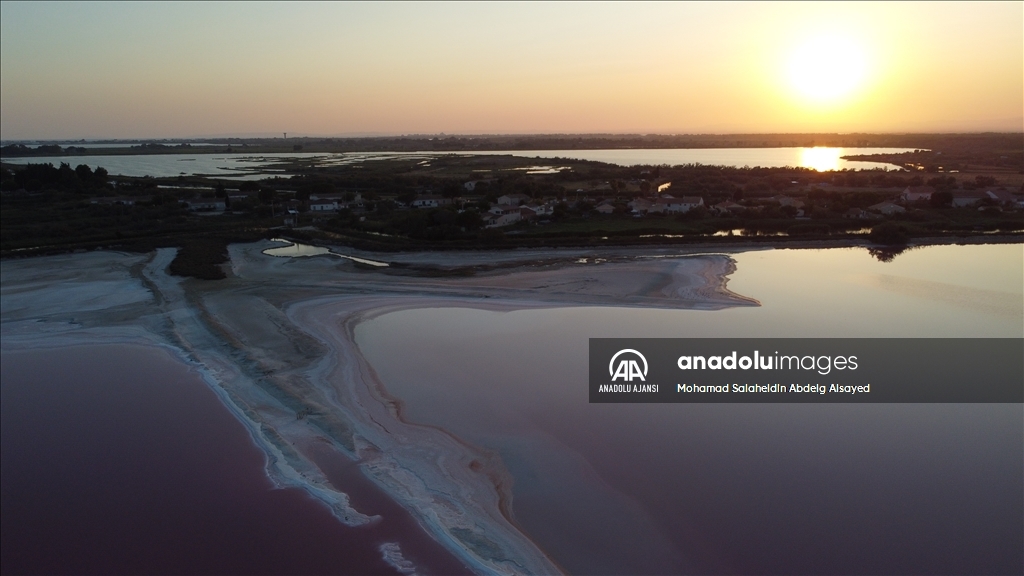 Fransa'daki ''tuz bataklığı'' pembe renge büründü 