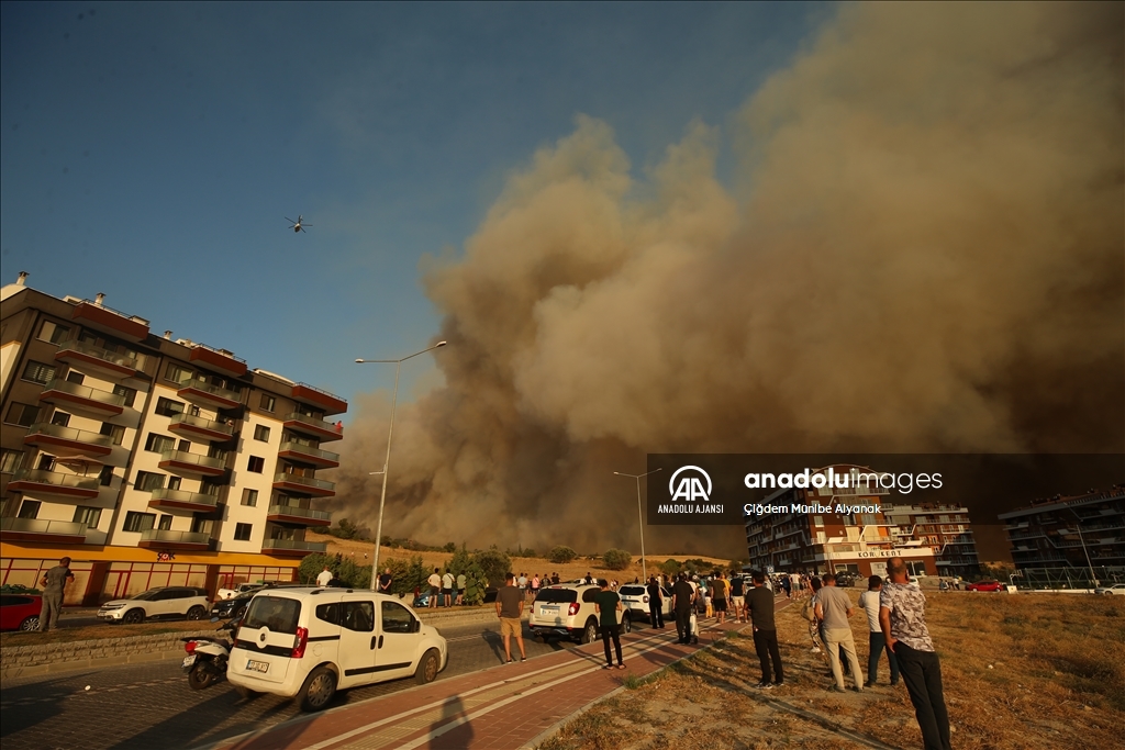 Çanakkale'de çıkan orman yangınına müdahale devam ediyor