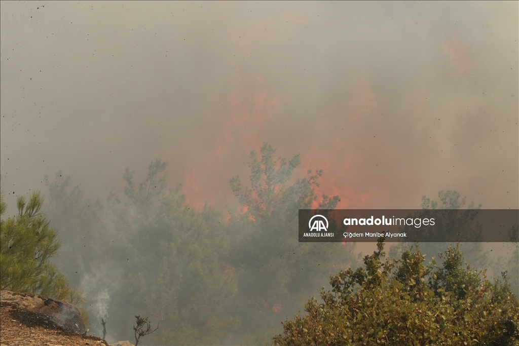 Çanakkale'de çıkan orman yangınına müdahale sürüyor
