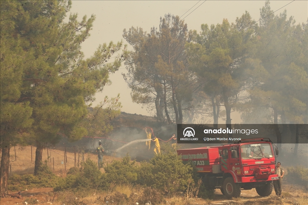 Çanakkale'de çıkan orman yangınına müdahale sürüyor