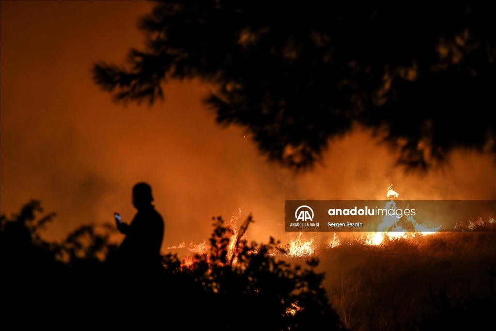 Çanakkale'de çıkan orman yangınına müdahale sürüyor