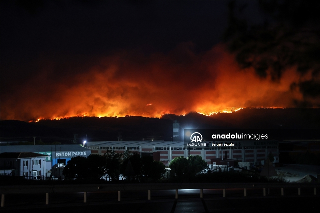 Çanakkale'de çıkan orman yangınına müdahale sürüyor