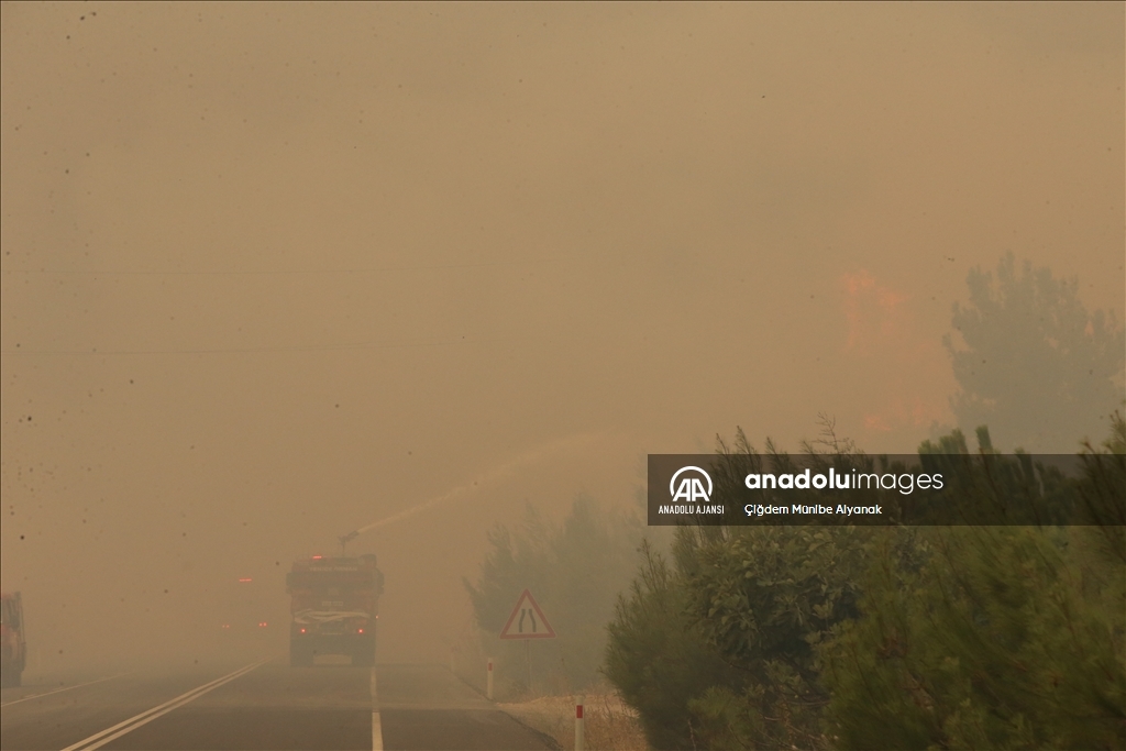 Çanakkale'de orman yangını çıktı