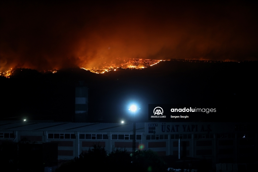 Çanakkale'de çıkan orman yangınına müdahale sürüyor