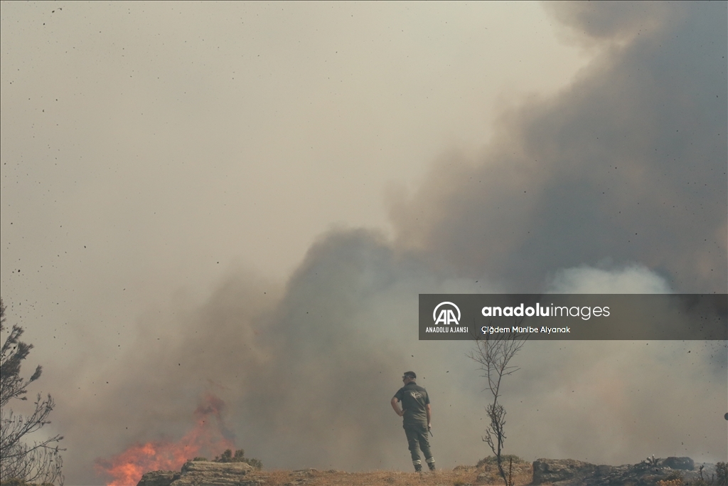 Çanakkale'de çıkan orman yangınına müdahale sürüyor