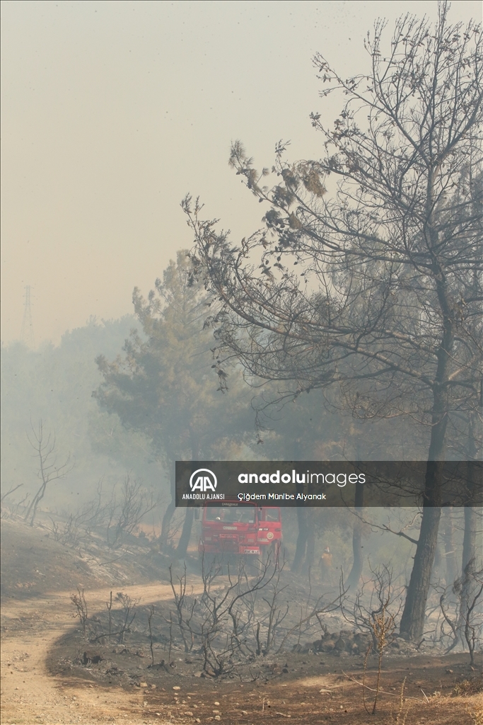 Çanakkale'de çıkan orman yangınına müdahale sürüyor