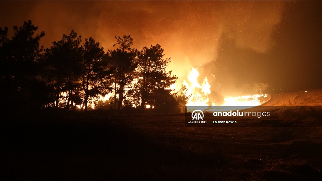Çanakkale'de çıkan orman yangınına müdahale sürüyor