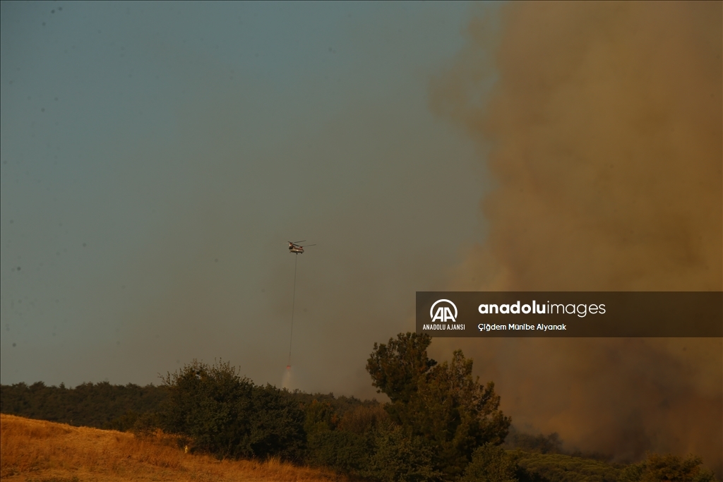 Çanakkale'de çıkan orman yangınına müdahale devam ediyor