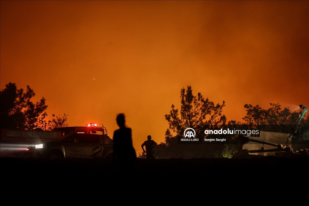 Çanakkale'de çıkan orman yangınına müdahale sürüyor