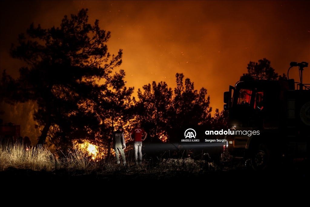 Çanakkale'de çıkan orman yangınına müdahale sürüyor