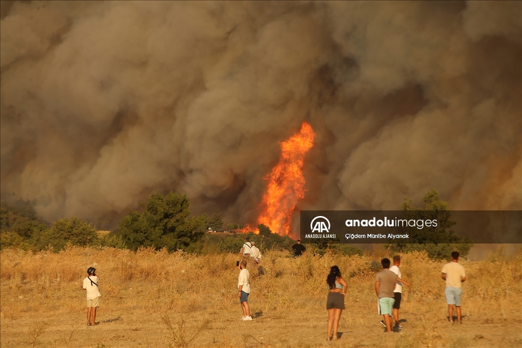 Çanakkale'de çıkan orman yangınına müdahale devam ediyor