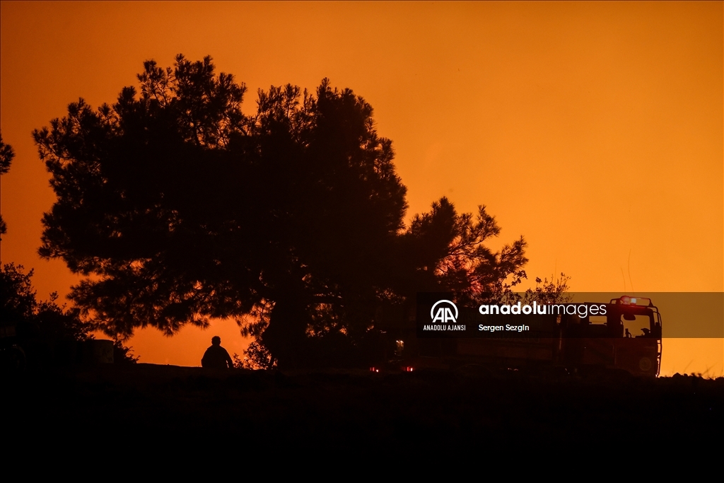 Çanakkale'de çıkan orman yangınına müdahale sürüyor