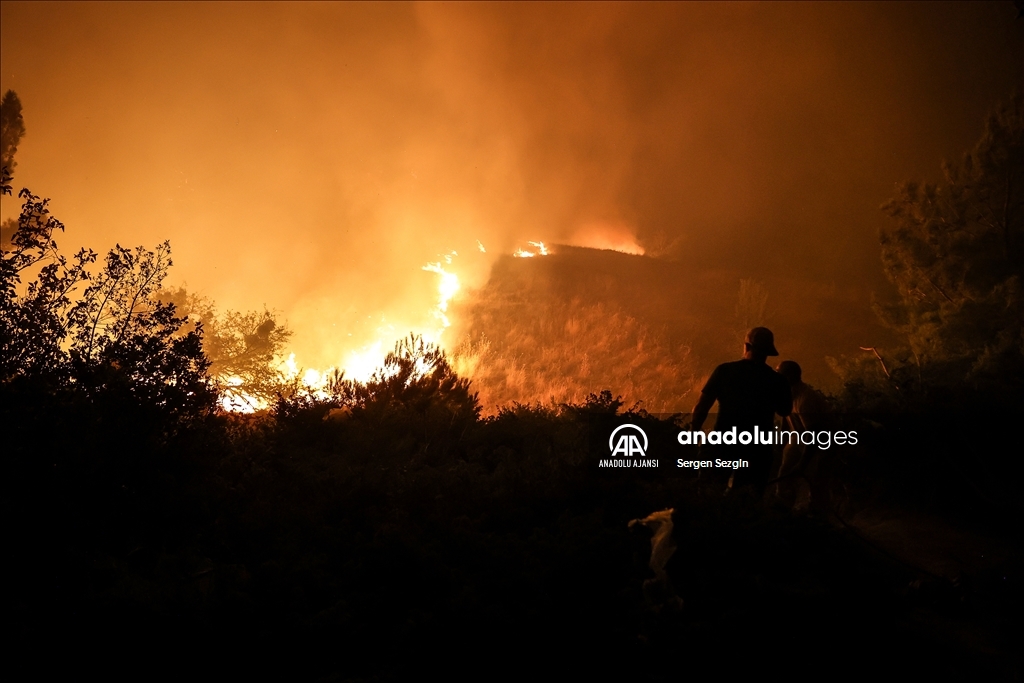 Çanakkale'de çıkan orman yangınına müdahale sürüyor