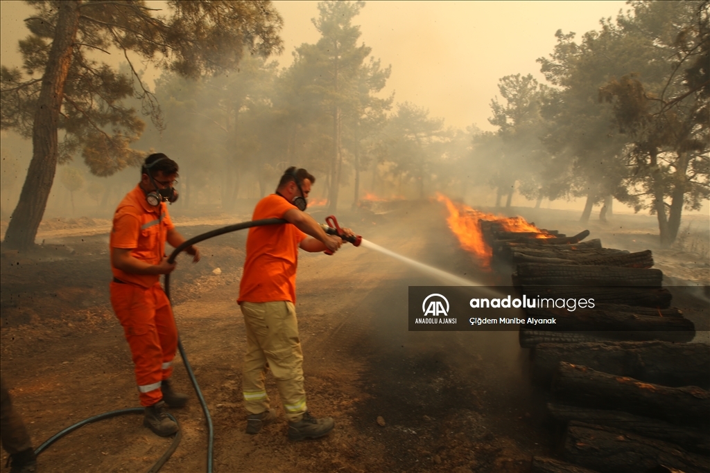 Çanakkale'de çıkan orman yangınını söndürme çalışmaları devam ediyor