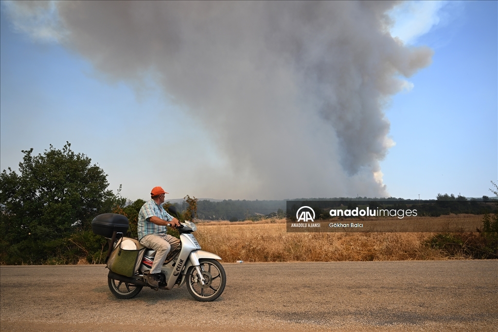 Çanakkale'de çıkan orman yangınına müdahale sürüyor