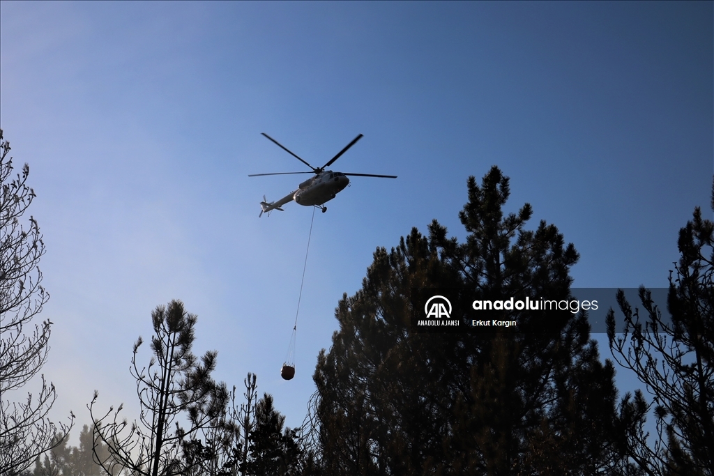 Kastamonu'da çıkan yangına müdahale ediliyor
