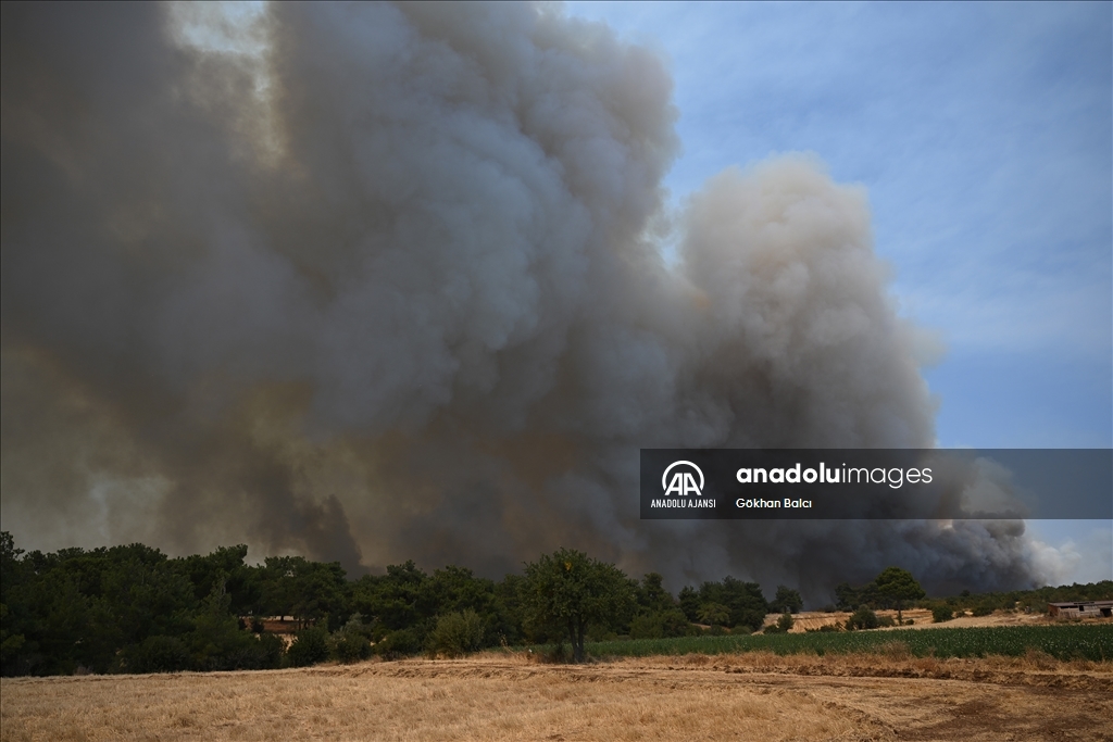 Çanakkale'de çıkan orman yangınına müdahale sürüyor