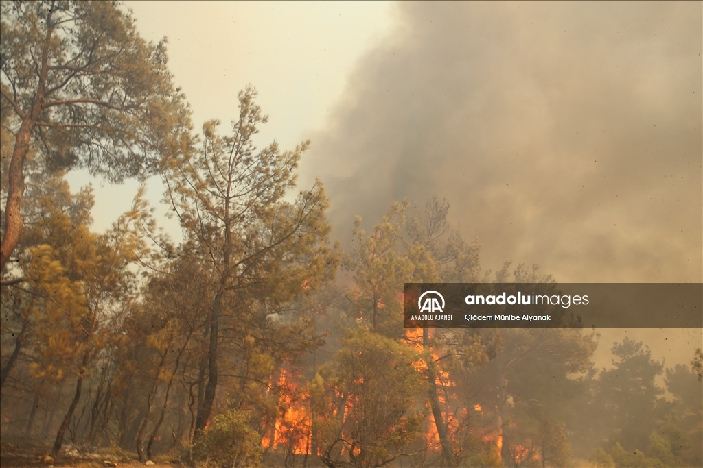 Çanakkale'de çıkan orman yangınını söndürme çalışmaları devam ediyor