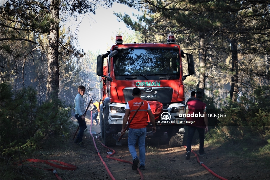 Kastamonu'da ormanlık alanda çıkan yangın kontrol altına alındı