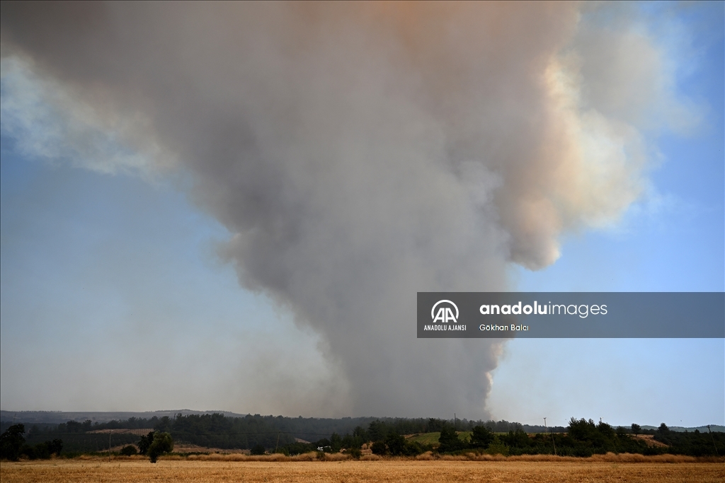 Çanakkale'de çıkan orman yangınına müdahale sürüyor