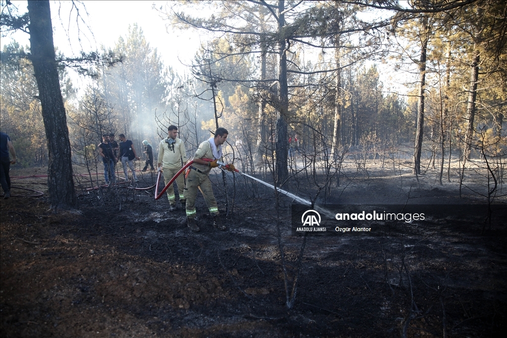 Kastamonu'da çıkan yangına müdahale ediliyor