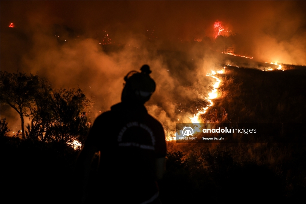 Efforts to extinguish wildfire continue in western Turkiye
