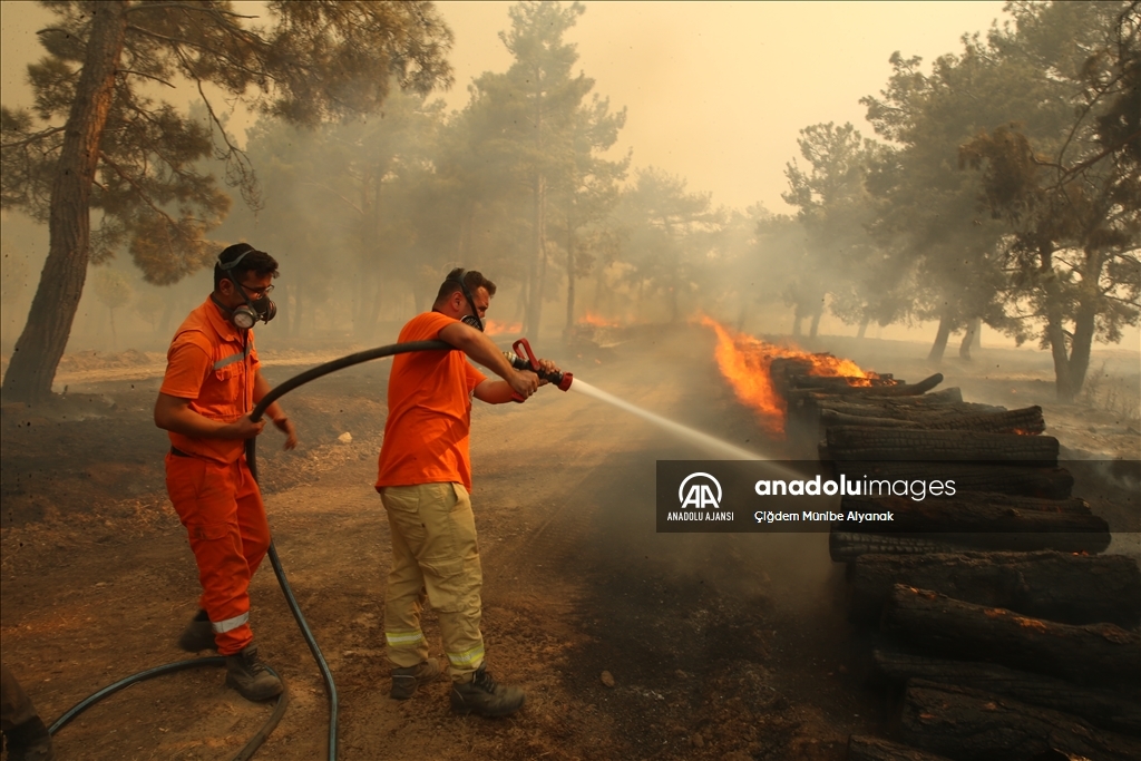 Çanakkale'de çıkan orman yangınını söndürme çalışmaları devam ediyor