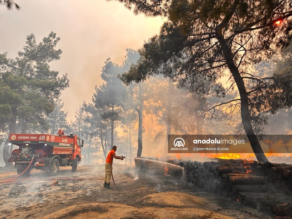 Çanakkale'de çıkan orman yangınını söndürme çalışmaları devam ediyor