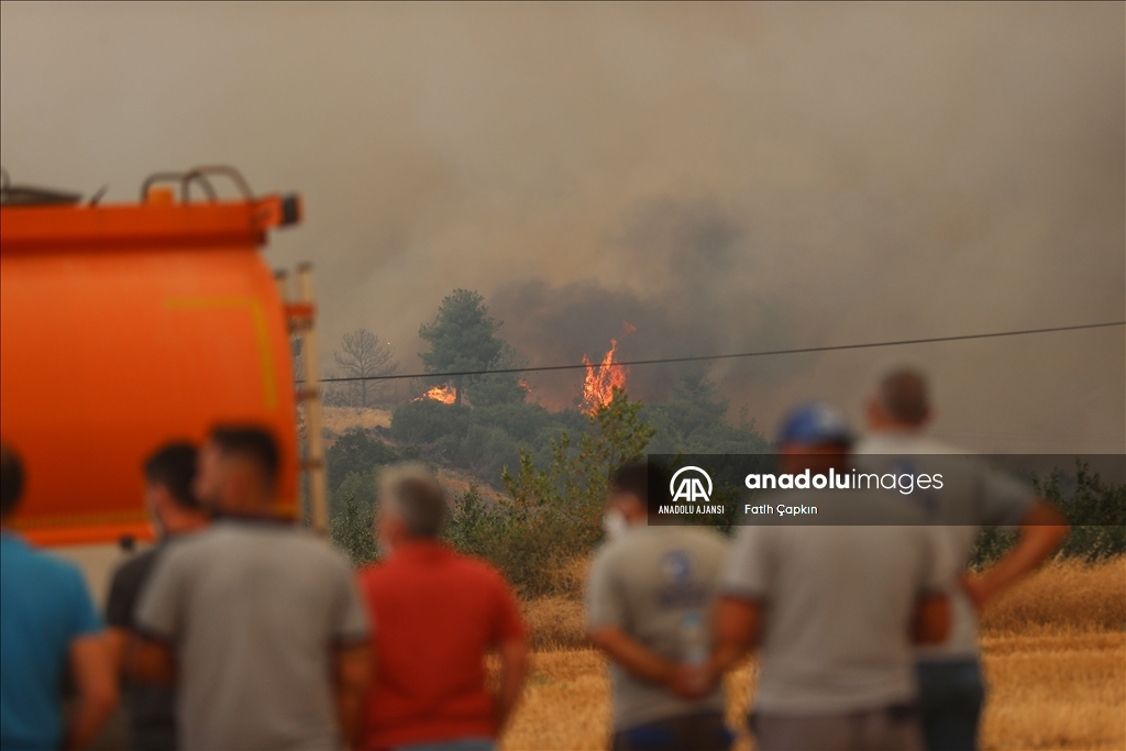 Çanakkale'de çıkan orman yangınına müdahale sürüyor