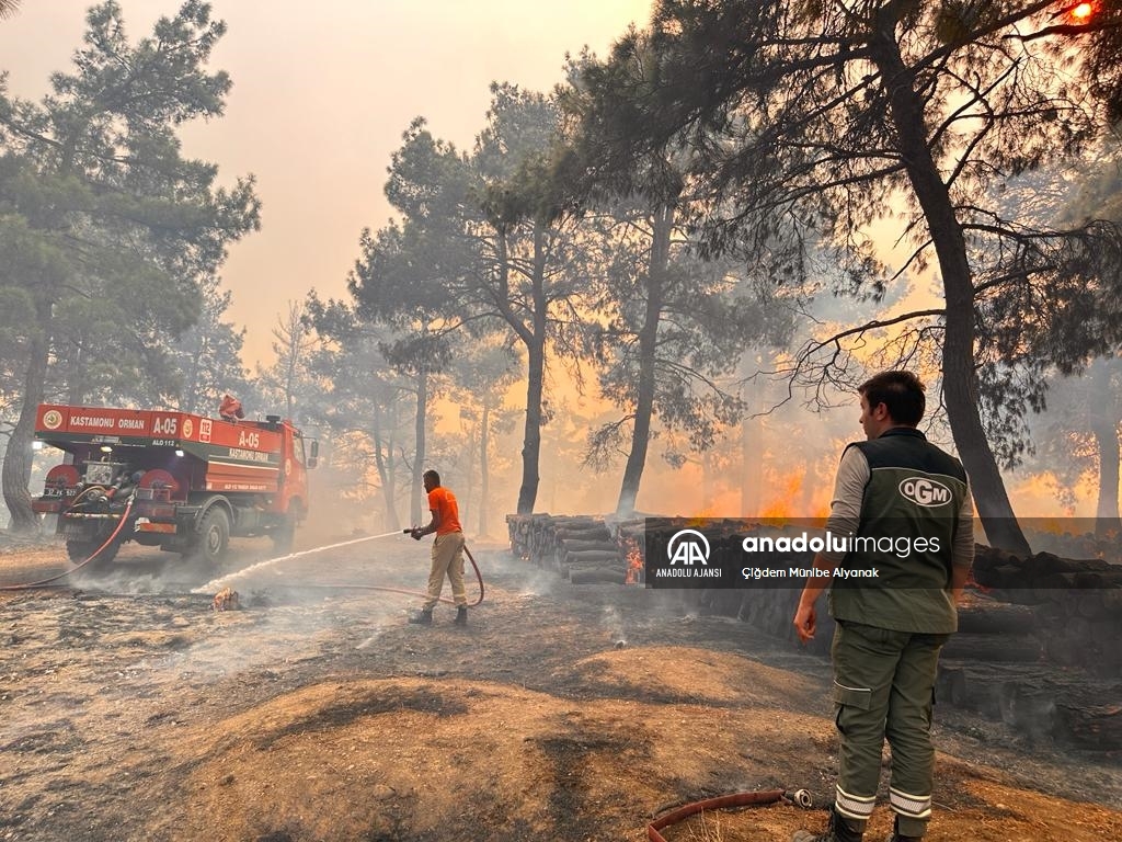 Çanakkale'de çıkan orman yangınını söndürme çalışmaları devam ediyor